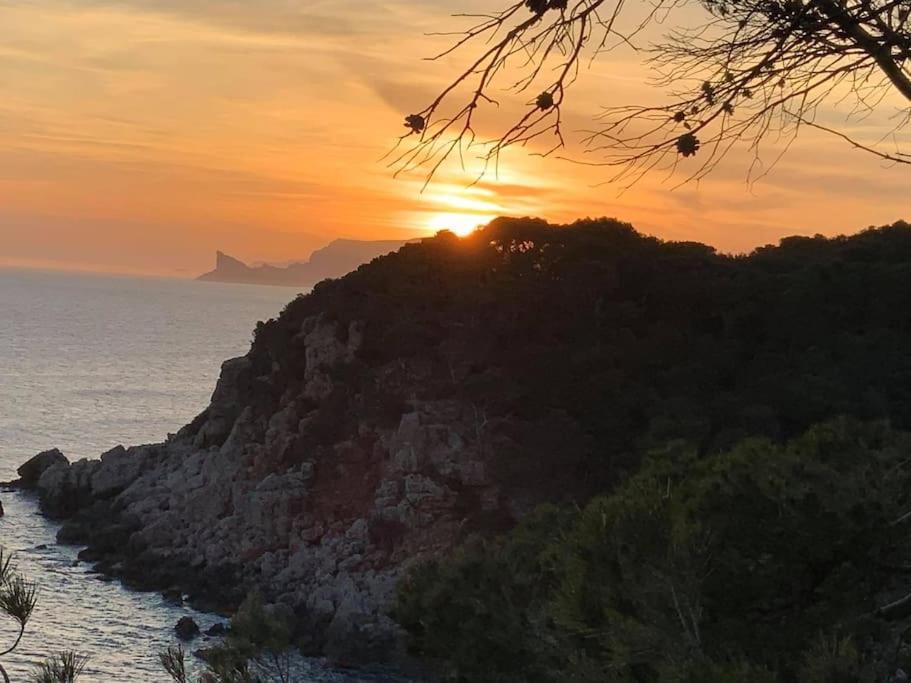 Athena Ohana, Les Pieds Dans L'Eau Bandol Esterno foto